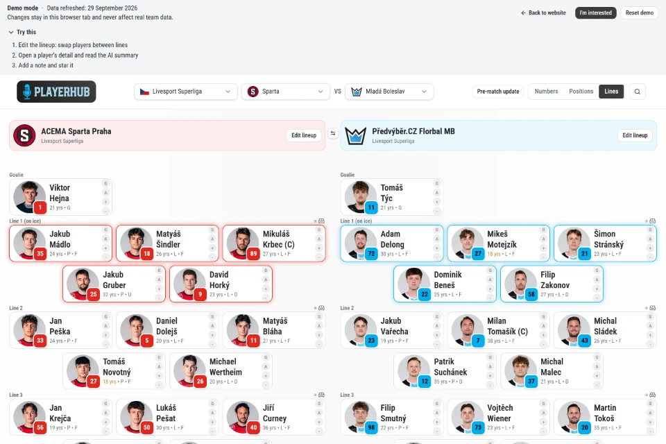 Screenshot of the PlayerHub demo